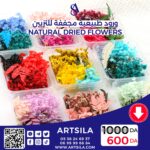 A BOX OF NATURAL DRIED ROSES - Image 5
