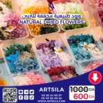 A BOX OF NATURAL DRIED ROSES - Image 6