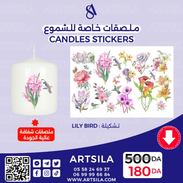 LILY BIRD Transparent Stickers