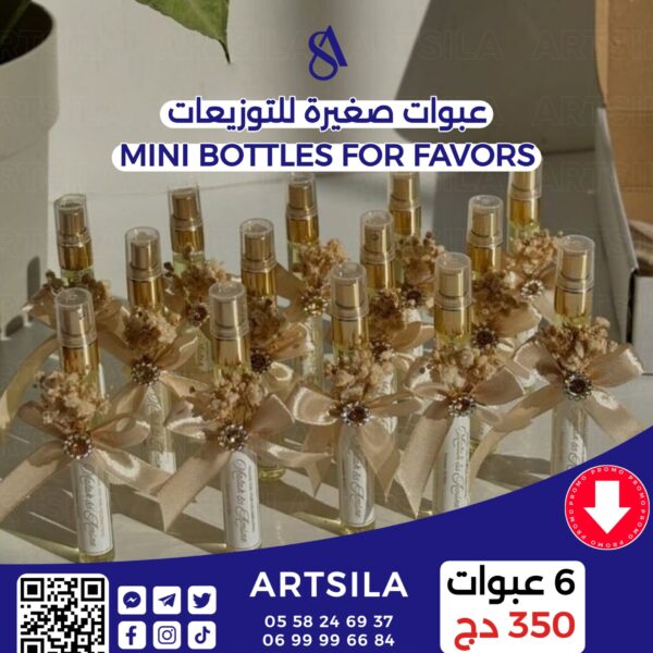 6 MINI BOTTLES FOR FAVORS