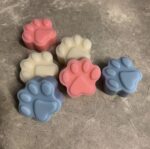 THE PAW MOLD - Image 9