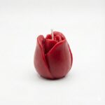 قالب زهرة التوليب الشهيرة