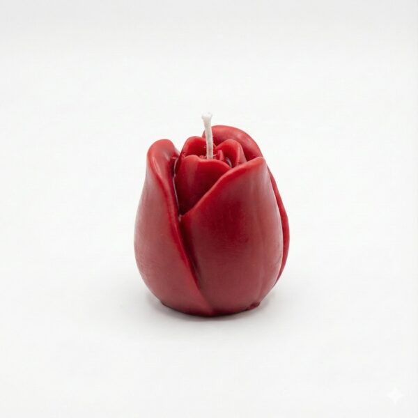 قالب زهرة التوليب الشهيرة