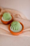 ROUND CACTUS MOLD