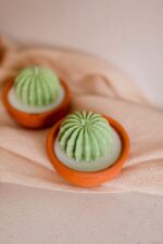 ROUND CACTUS MOLD
