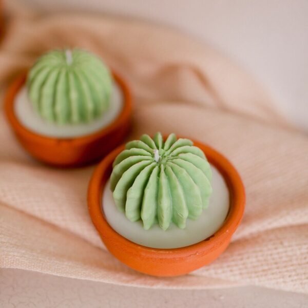 ROUND CACTUS MOLD