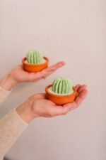 ROUND CACTUS MOLD - Image 2