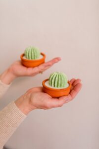 ROUND CACTUS MOLD - Image 2