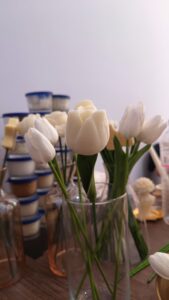 طقم توزيعات باقة التوليب - Image 10