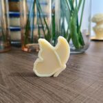 قالب فراشة التوزيعات