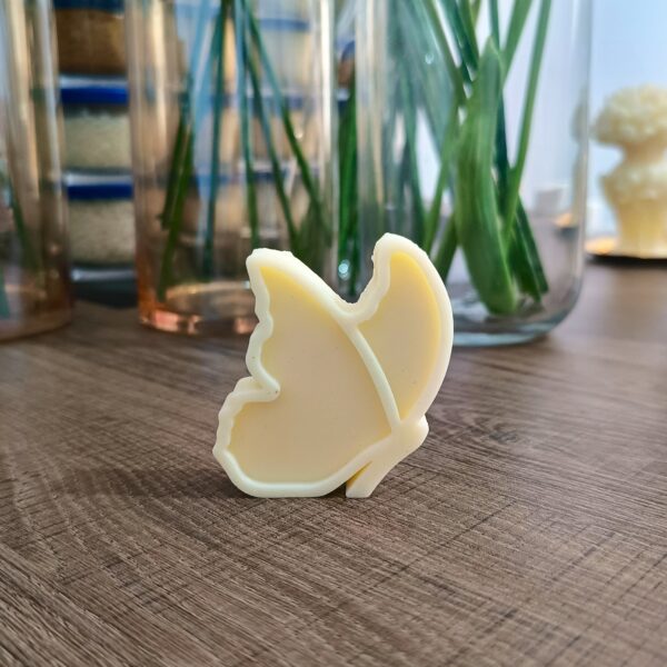 قالب فراشة التوزيعات