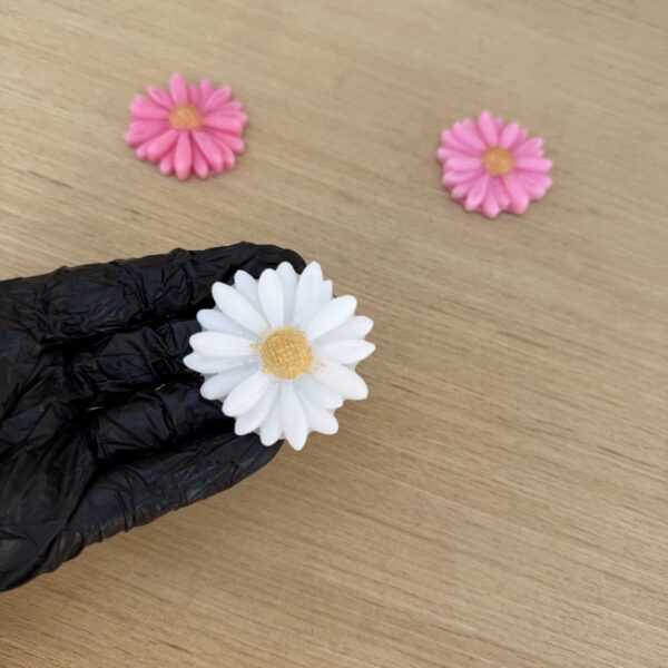 قالب زهرة البابونج DAISY