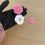 قالب زهرة البابونج DAISY - Image 4