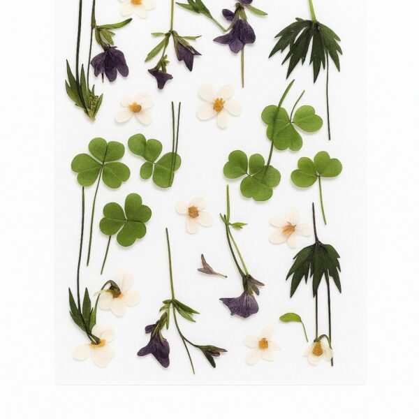 ملصقات ورود