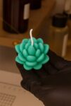 SUCCULENT BLOOM MOLD
