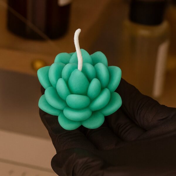 SUCCULENT BLOOM MOLD