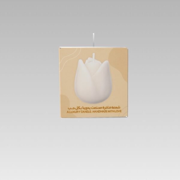 10 TULIP BOX