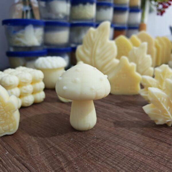 قالب سيليكون الفطر