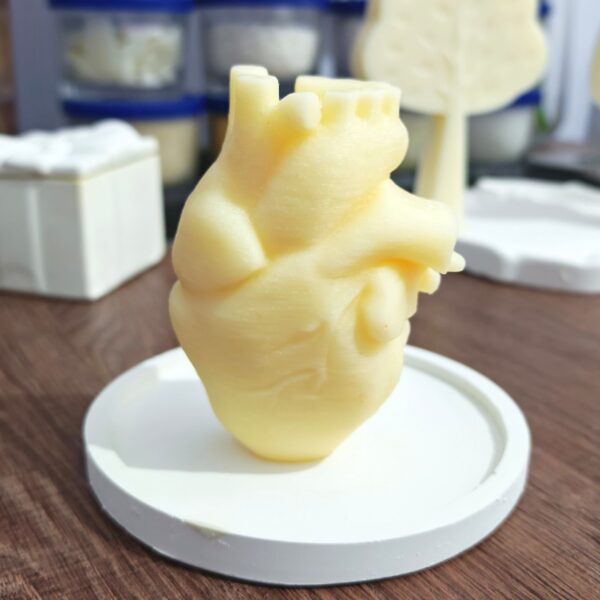 قالب شكل قلب حقيقي