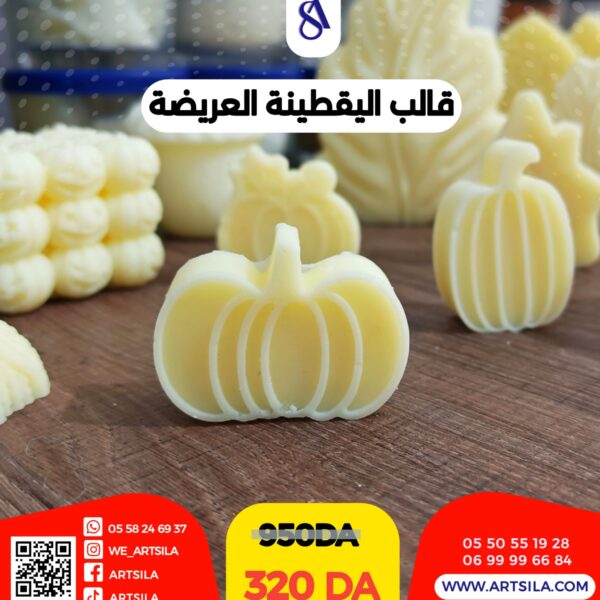 قالب اليقطينة العريضة