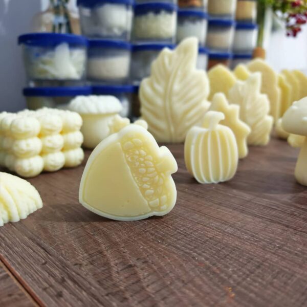 قالب حبة البلوط