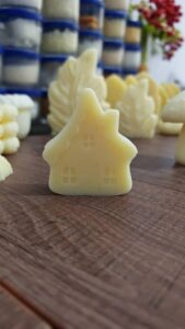 قالب سيليكون المنزل - Image 4