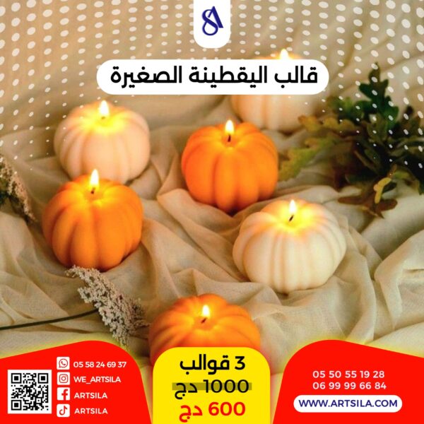 3 قوالب اليقطينات الصغيرة