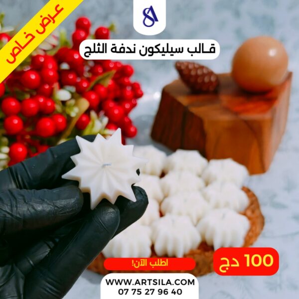 قالب ندفة الثلج