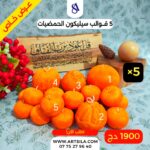 5 قوالب سيليكون حمضيات