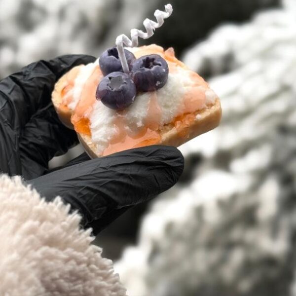 قالب خبز التوست