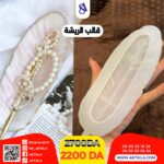 قالب الريشة