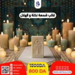 قالب النخلة والهلال