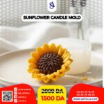 قالب عباد الشمس