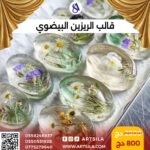 قالب الريزين البيضوي