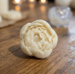 قالب الفاونيا