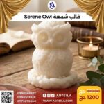 قالب شمعة البومة
