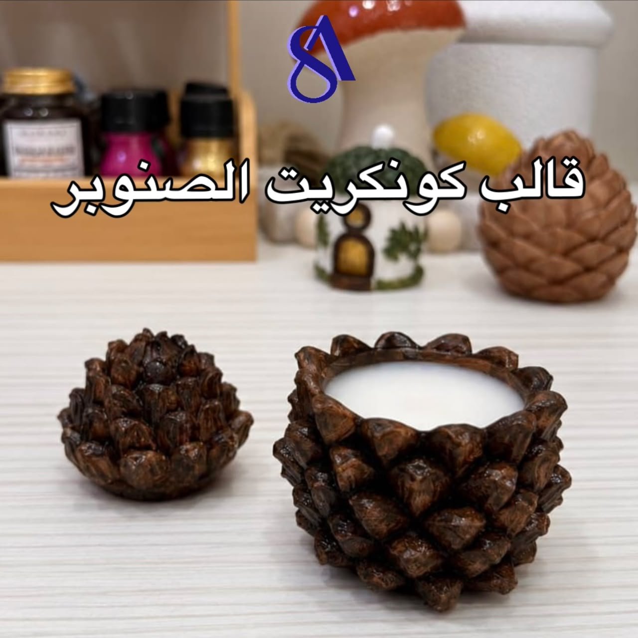2026/10/1000023419.jpg قالب كونكريت الصنوبر - Image 1